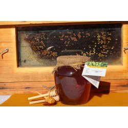 Miel d’Euphorbe 1kg