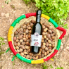 Huile d’Argan Alimentaire 500 ml