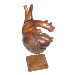 Sculpture anatomique de cœur